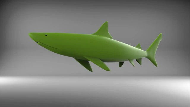 hiu Model 3D .c4d .max .obj .3ds .fbx .stl .blend 