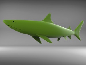 shark 3D Model
