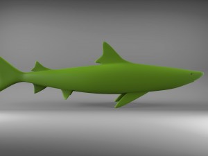 shark 3D Model