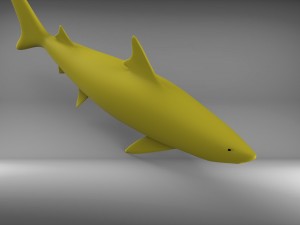 shark 3D Model