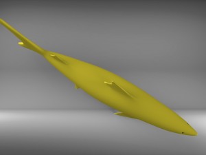 shark 3D Model