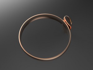 ring Model 3D