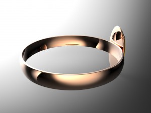ring Model 3D
