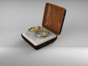 anelli Modello 3D