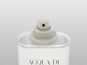 giorgio armani acqua di gio eau de toilette 3D Model