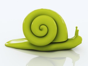door stopper - snail 3D-Druckmodell