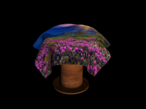 wooden table with tablecloth 3D Model