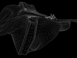 ear structure anatomy section 3D Model