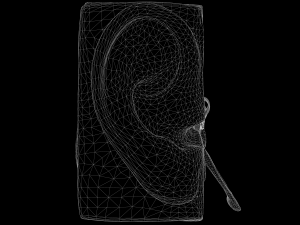 ear structure anatomy section 3D Model