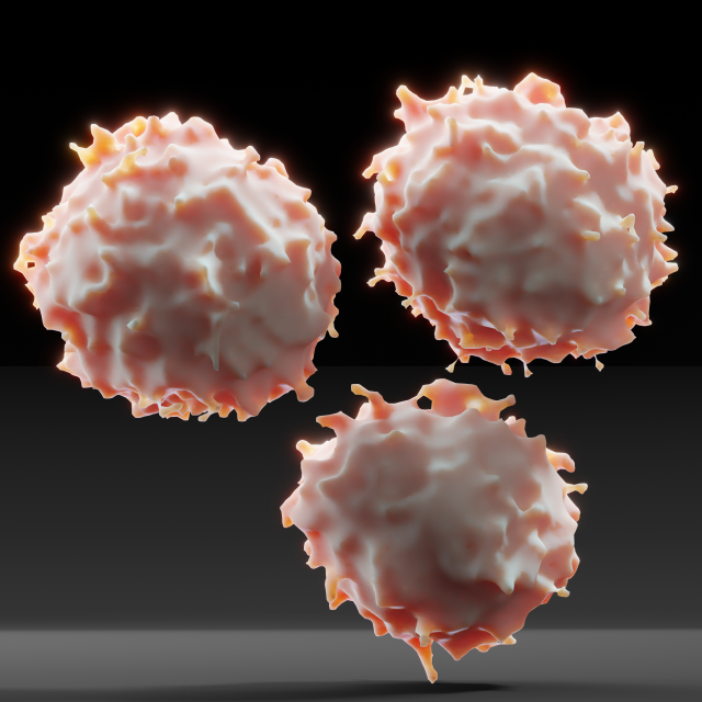 lymphocyte Model 3D .c4d .max .obj .3ds .fbx .stl .blend 