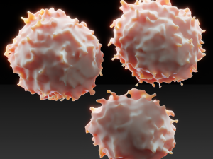 lymphocyte 3D Model
