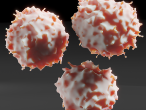 lymphocyte Model 3D
