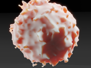 lymphocyte Model 3D