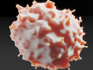 lymphocyte Model 3D
