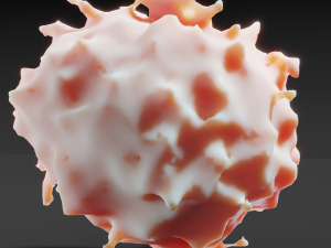 lymphocyte Model 3D