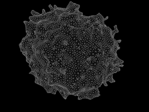 lymphocyte Model 3D