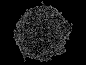 lymphocyte Model 3D