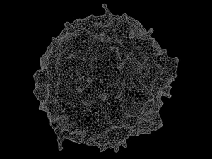 lymphocyte 3D Model