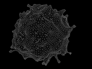 lymphocyte Model 3D