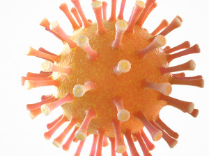 coronavirus covid 19 pack 3D Model