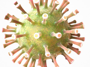 coronavirus covid 19 pack 3D Model