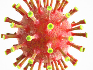 coronavirus covid 19 pack 3D Model