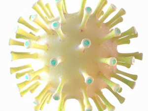 coronavirus covid 19 pack 3D Model