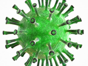 coronavirus covid 19 pack 3D Model