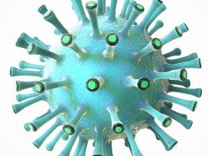 coronavirus covid 19 pack 3D Model