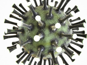 coronavirus covid 19 pack 3D Model
