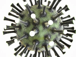 coronavirus covid 19 pack 3D Model