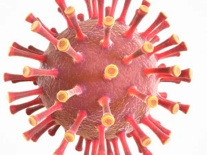 coronavirus covid 19 pack 3D Model