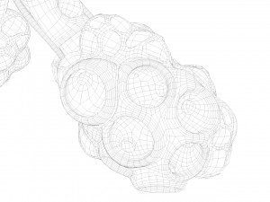realistic human bronchi alveoli anatomy Model 3D