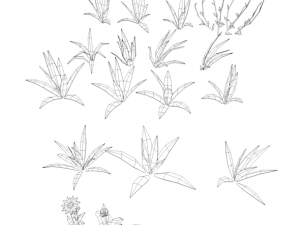 Cartoon Grass Pack Flower 3D Modell