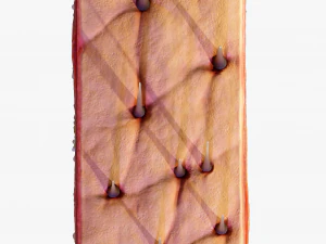 Skin Cross Section 3D Model