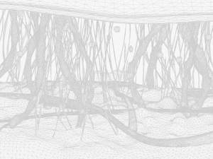 Skin Cross Section 3D Model