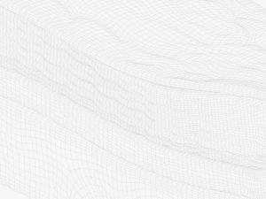 Epidermis Cross Section 3D Model
