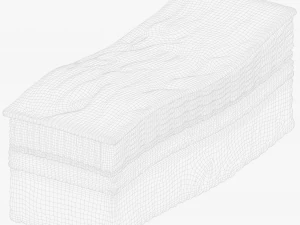 Epidermis Cross Section 3D Model