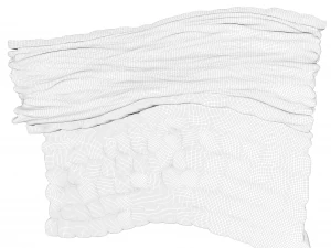 Epidermis Cross Section 3D Model