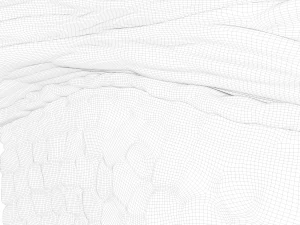 Epidermis Cross Section 3D Model