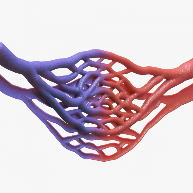Blood Vessel Cross Section 3D Модель .c4d .max .obj .3ds .fbx .stl .blend 