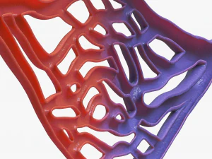 Blood Vessel Cross Section 3D Model