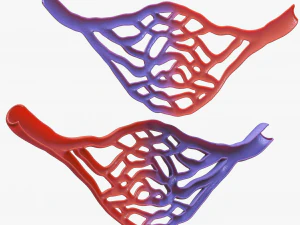 Blood Vessel Cross Section 3D Model