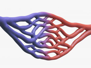 Blood Vessel Cross Section 3D Model