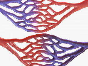 Blood Vessel Cross Section 3D Model