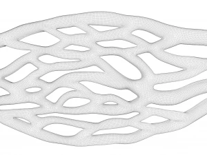 Blood Vessel Cross Section 3D Model