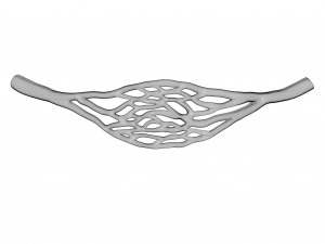 Blood Vessel Cross Section 3D Модель
