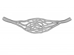 Blood Vessel Cross Section 3D Model