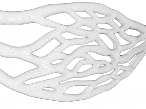 Blood Vessel Cross Section 3D Model