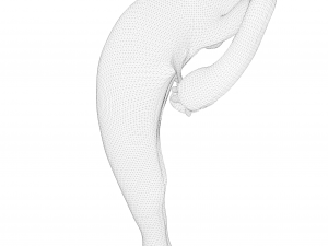 Female Reproductive System 3Dモデル